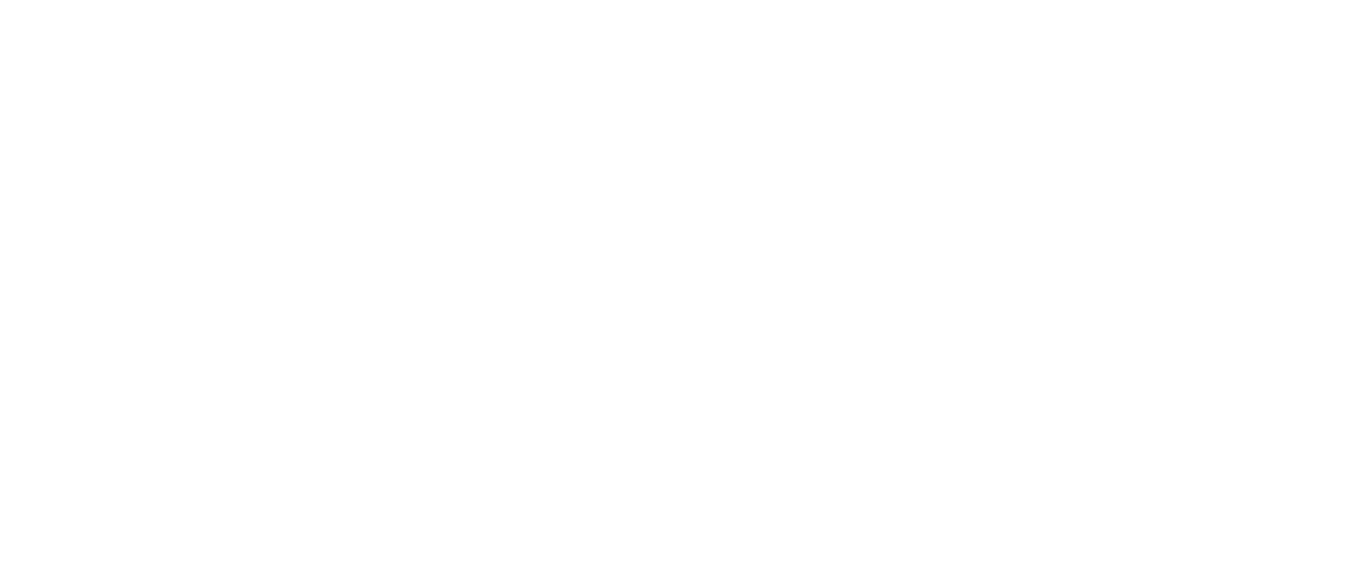 Vixio